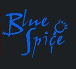 duran duran tribute band